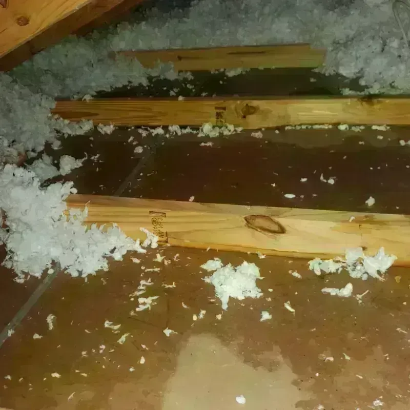 Attic Water Damage in Independence, LA