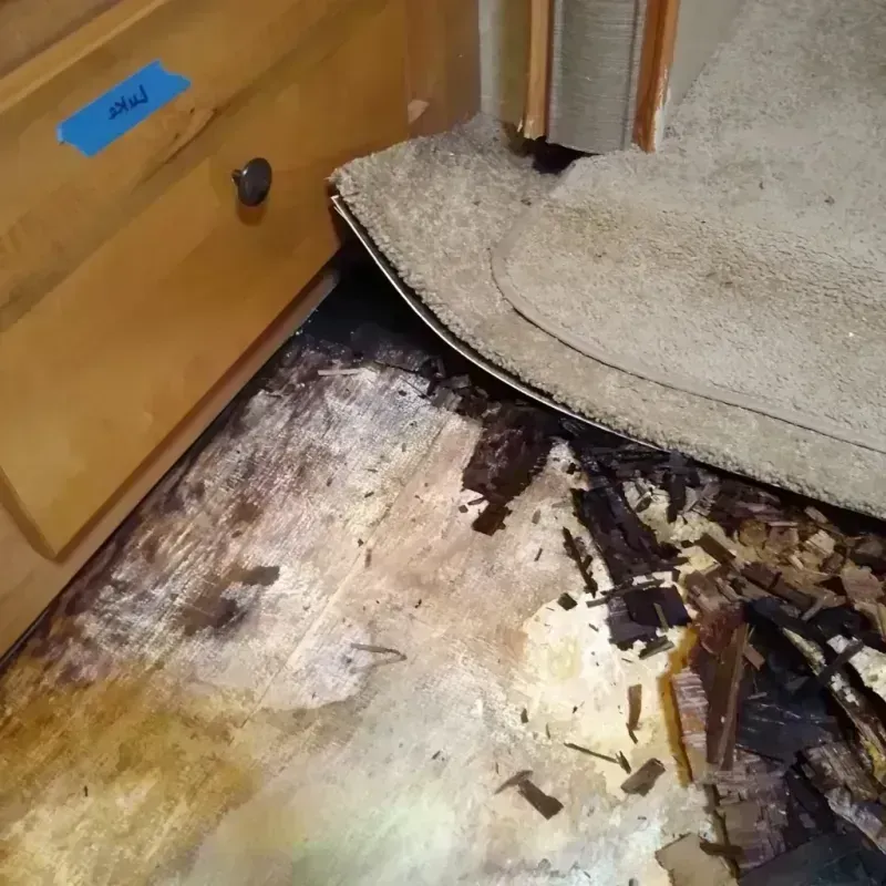 Wood Floor Water Damage in Independence, LA